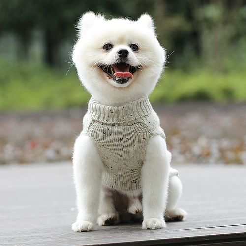 Маленькая средняя собачья одежда осень и зимняя плюшка Белобеи Бумеа Доуенари Корки свитер домашний свитер зима
