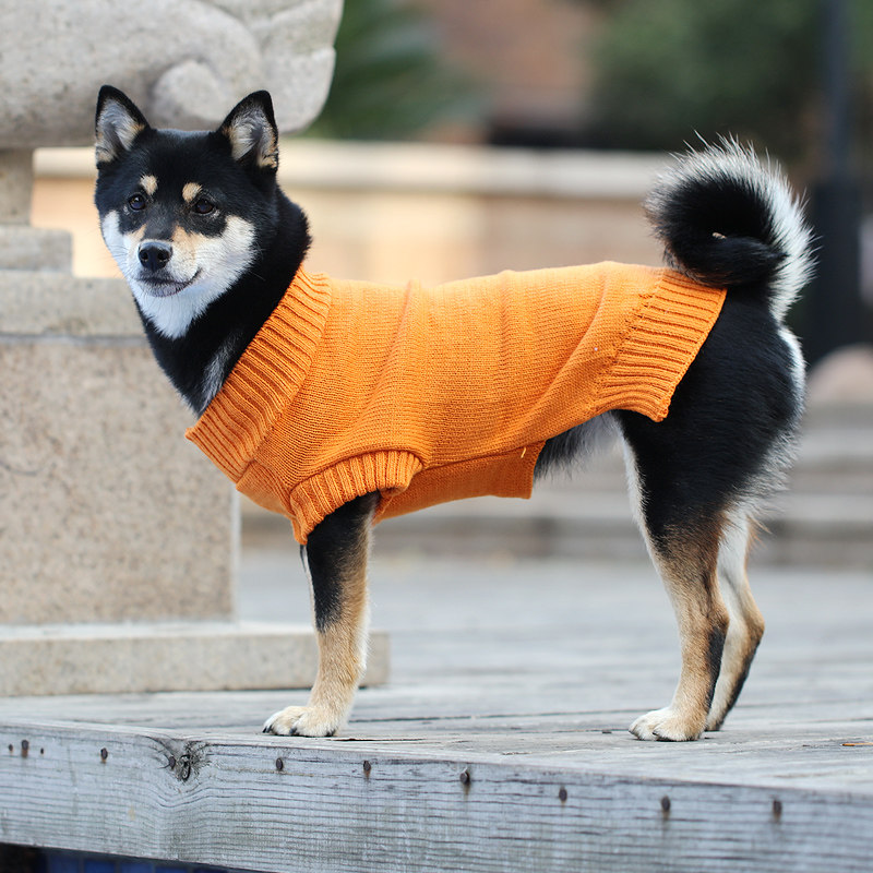 Clearance 9 9) Dog Sweater French Fighting Corgi Akita Shiba Inu Teddy VIP Autumn Medium Dog Pet Clothes
