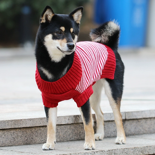 Одежда для щенков осенью и зимняя плюшевая Корки Медведь Фа Бюмей маленькая головоломка