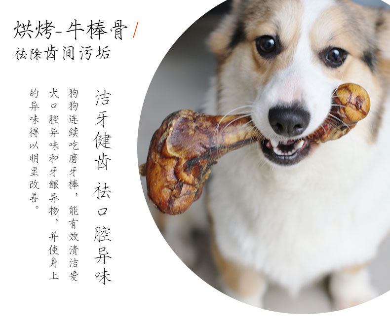Xương bò 3 con chó gậy gậy Labrador Golden Retriever chó lớn xương chó cắn sạch răng xương chó ăn vặt - Đồ ăn vặt cho chó thức ăn khô cho chó