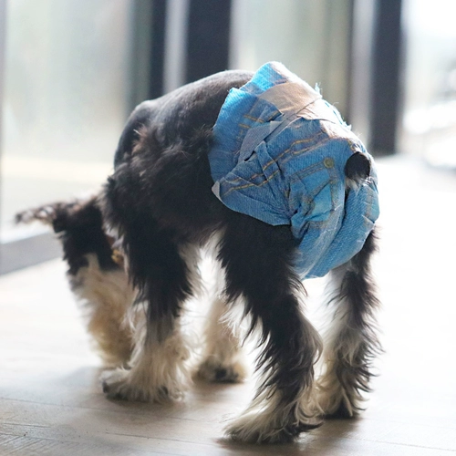 Прозрачная специальная цена 9,9] Физиологические штаны для собак.