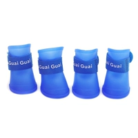 Синие туфли