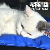 Только M Code 6.9 от Qing Zheng Ying Nai, чтобы взять коврик для собак Row Padding и лето.