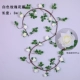 Mô phỏng hoa hồng treo tường giả hoa mây trong nhà phòng khách ống tường trang trí cây xanh nhựa cây nho - Hoa nhân tạo / Cây / Trái cây hoa giả trang trí phòng khách