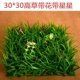 Mô phỏng sân cỏ tường nhựa sân vườn trong nhà cây xanh giả hoa cao ban công trang trí sân cỏ mẫu giáo - Hoa nhân tạo / Cây / Trái cây hoa giả trang trí