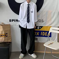 Комплект, рубашка, галстук, штаны, 3 предмета