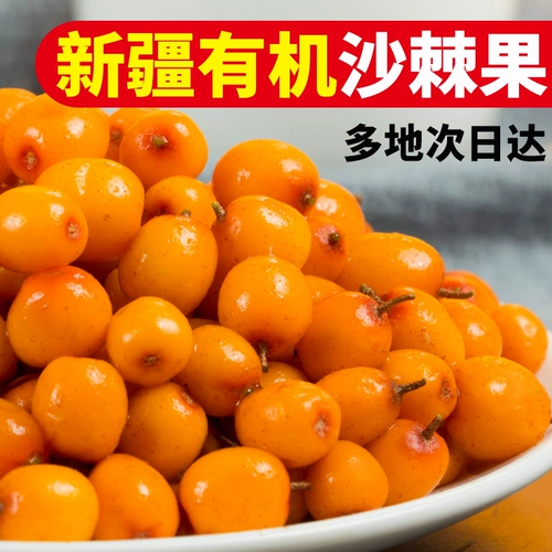 Seabuckthorn Fresh Fruit 6 Catties of Sinjiang Seabuckthorn Frozen Enzyme Squeezing Sandy Thorn Juice Plasam