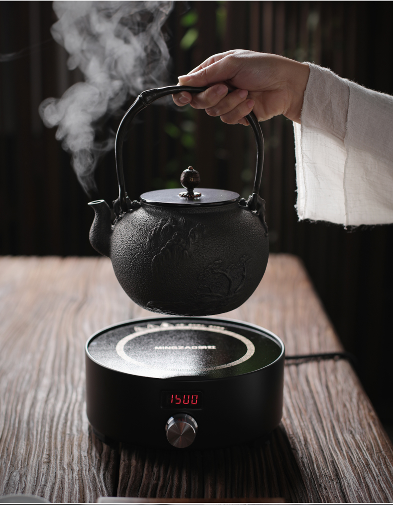 ZongTang iron pot of cast iron teapot tea kettle imitation in southern Japan boiling tea machine electricity TaoLu half a hand