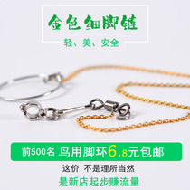 Stainless steel parrot anklet tiger skin peony parrot foot ring Starling Xuanfeng bird supplies stand frame thick bird chain