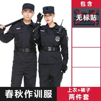 Весна и осень тренировочная одежда топ+брюки (исключая знаки)