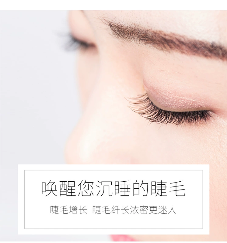 Mascara lông mày trong suốt tăng trưởng chất lỏng nữ sinh viên tự nhiên không màu rập khuôn không thấm nước uốn dày