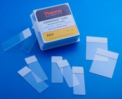 Thermo Fisher Scientific Thermo4951PLUS Immunohistochemistry Anti-Removal Slide Adhesive Slides