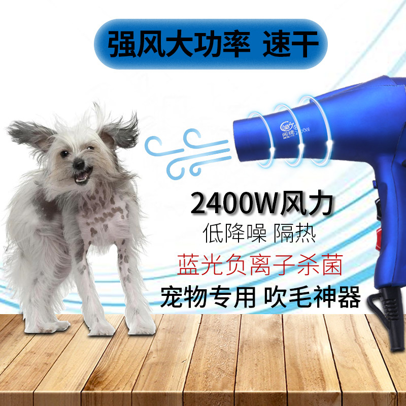 Pet hair dryer high power pet blow dry bath tool large and small dog blow water dry cat dog universal