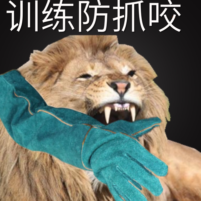 Pet anti-dog bite training cat dog pet bath anti scratch anti bite clean massage gloves massage brush cowhide thickening