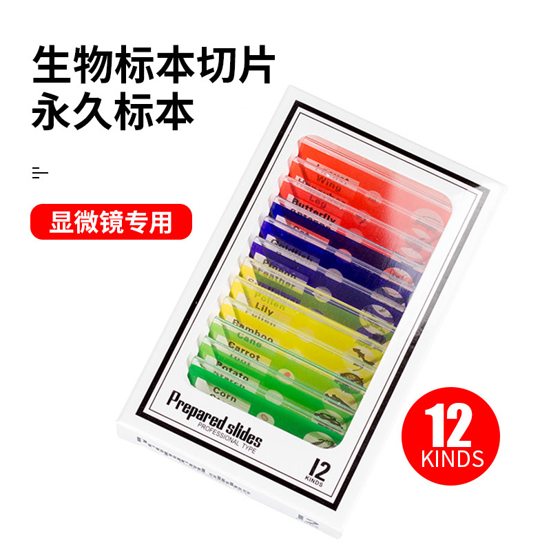 Microscope accessories Plastic biological specimen slices 1 box of 12 pieces Insect specimens for students and children's safety creative experiments