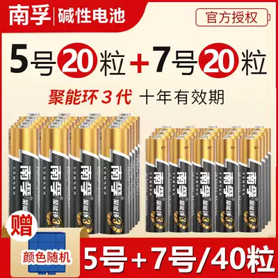 Nanfu battery No 5 40 cell No 5 aa alkaline dry battery 1 5v Children's toy alarm clock wireless mouse microphone TV remote control battery wholesale original durable