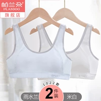 1022 Орхидея дождевой воды+рис белый