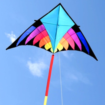  2020 new enchantress Weifang kite extra large high-end adult umbrella cloth giant long tail triangle beginner easy to fly