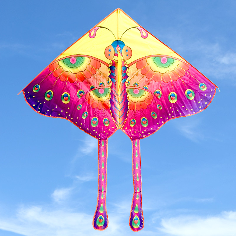 Weifang Kite New Children's Beginners Cartoon Triangle Big Butterfly Breeze Easy Fly Adult Large Traditional Features