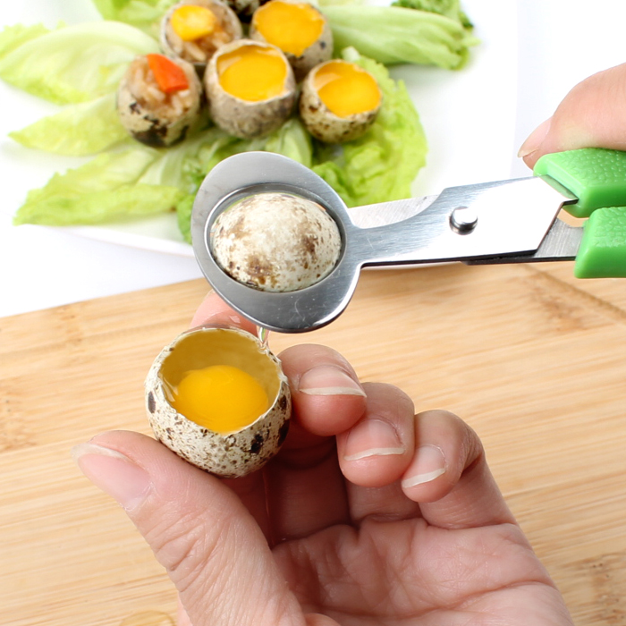 Quail Egg Opener Stainless Steel Dove Egg Scissors Eggshell Cutter Bird Egg Cutler Eggshell Eggshell Separator Tool-Taobao