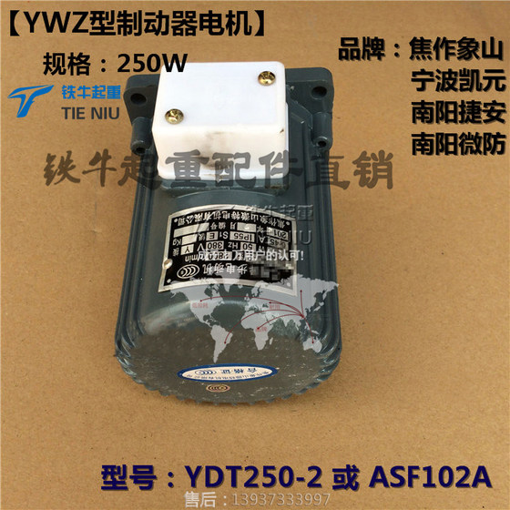 YWZ 전기 유압 브레이크/프로펠러 모터 ASF102A-250W 소형 3상 비동기 모터