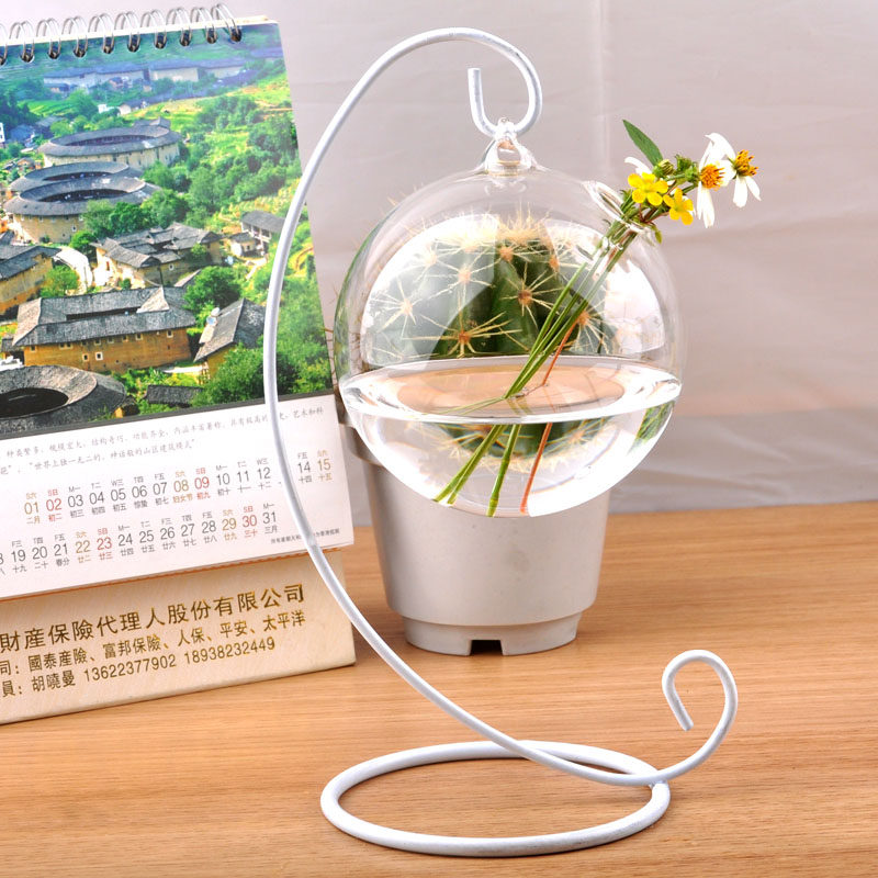Creative transparent glass vase ornaments Transparent glass vase hydroponic European modern fashion home decoration
