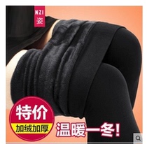 New winter plus thickening foot high waist pants pants large-scale high-bulk nine-point warm little pants worn