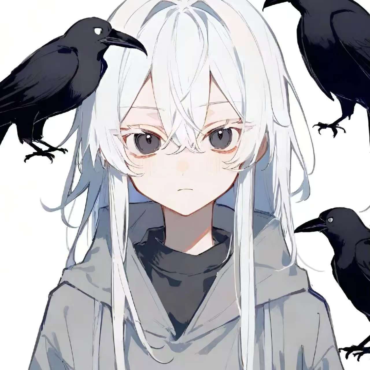 白乌鸦星球