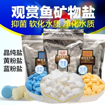 Fish tank salt sterilization Ornamental fish special salt Cold water fish disinfection aquarium yellow powder salt Mineral salt Tropical fish sea salt