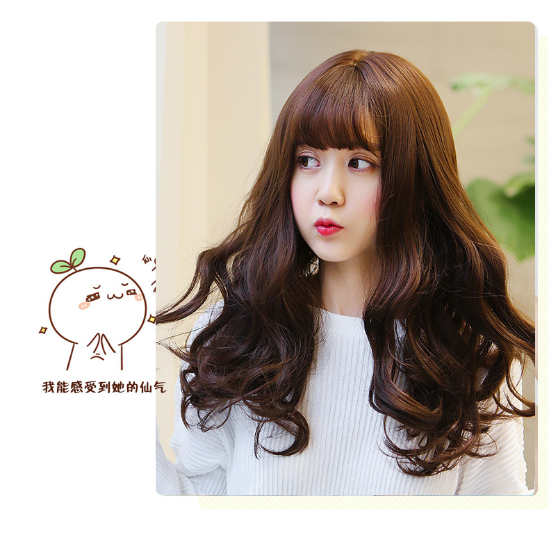 Perruque BBGZ     Les cheveux longs - Ref 2609753 Image 18