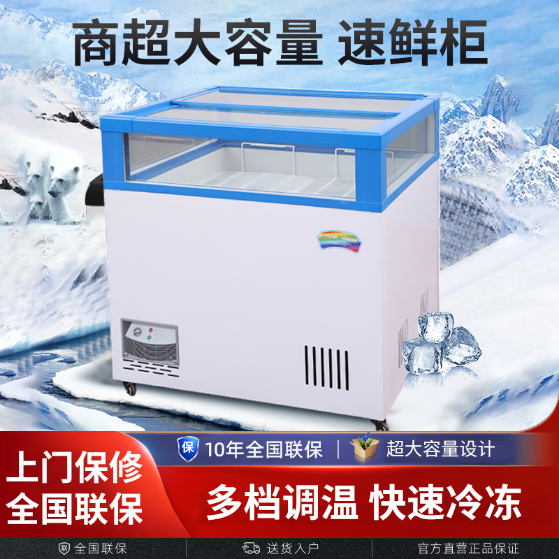 Chenita Freezer Commercial Small Freezer Refrigeration Dual-Purpose Small Refrigerator Cabinet Supermarket Promotional Milk Ice Cream Freezer