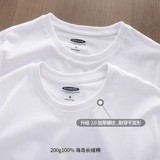 Хлопковый лонгслив, однотонное белое приятное телу термобелье, осенний, круглый воротник