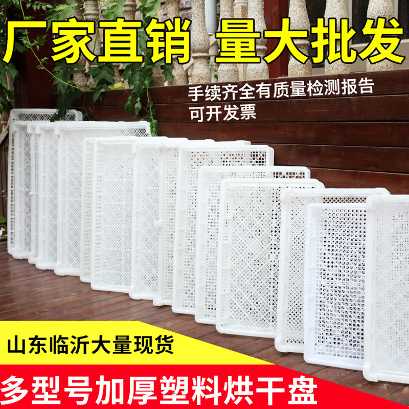 Plastic single freezer drying plate freezing plate drying plate tray shallow basket ice plate butterfly noodle food grade cold storage freezing