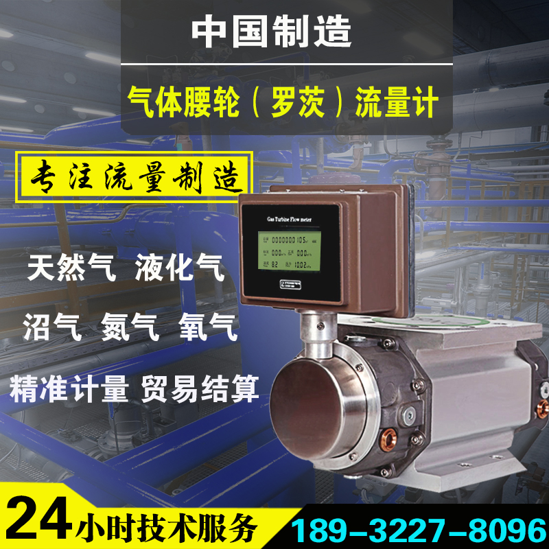 LLGQ roots flowmeter Gas waist rotation meter Gas gas liquefied gas EVC explosion-proof DN50G65