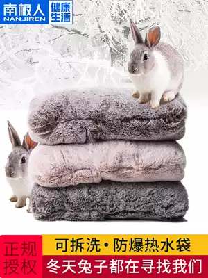 Antarctic hot water bottle charging bag baby explosion-proof plush Meng Meng cute Korean version of the warm hand treasure warm water bag warm treasure