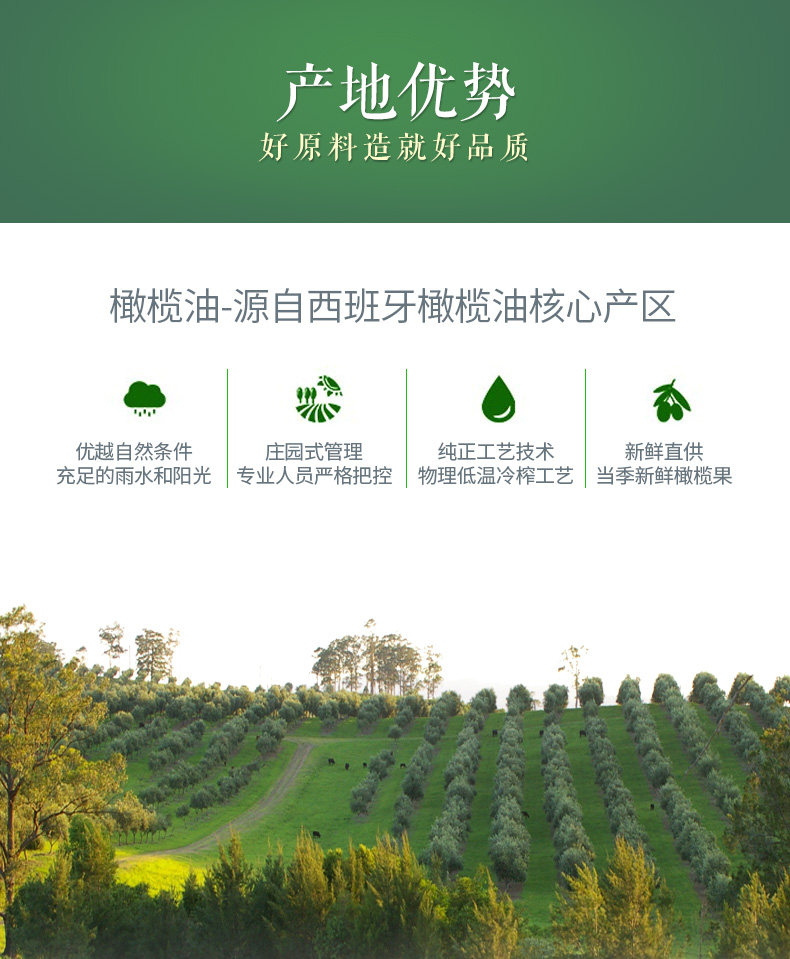 探花村 物理压榨 橄榄油 食用调和油 5L 图10