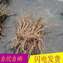 Wild fresh and freshly dug and dried bone skin root wolfberry root old wolfberry head wolfberry wolfberry wolfberry root dried 500g