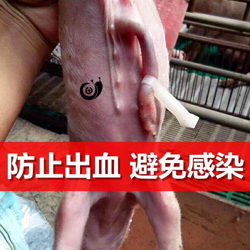 Small pig with umbilical cord clip piglet guard cord small pig pig with pig cut zipped cord-cut cord button to raise pig equipment pig farm supplies