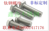 Titanium External Hexagon Screw Bolt Screw M5M6M8M10M12M14M16M18M20