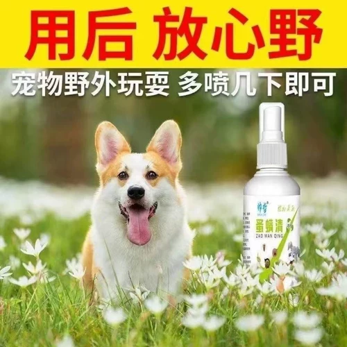 [Не боится облизывать яйца насекомых двойной убийство] собака собачья собака внешние собаки домашние кошка кошка в нице пестициды брызги