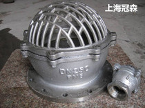 Stainless steel corrosion-resistant flange bottom valve H42W-16P water pump suction bottom valve flower basket head plastic water pipe pumping water