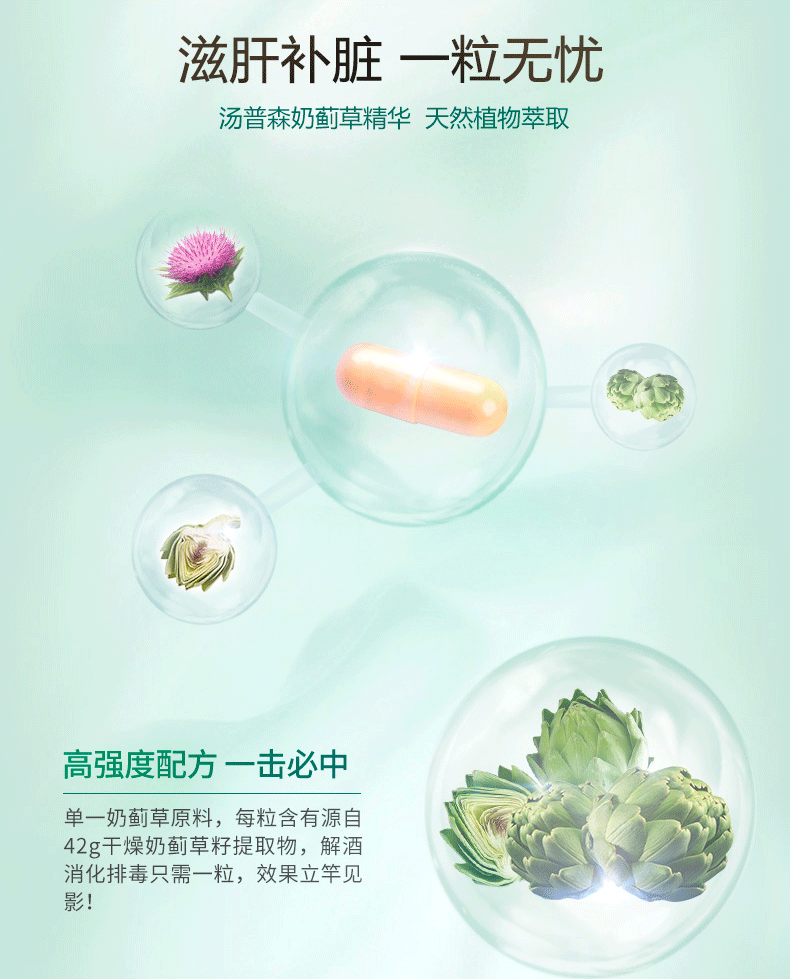 澳洲进口 汤普森 水飞蓟精华胶囊 60粒 护肝夜解酒 图4