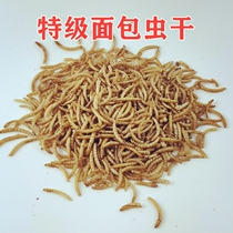 Small Favorites High Nutrition High Protein Snack Bread Worm Dry Hamster Snacks High Nutrient High Protein Small Darling Nutritious Snacks