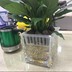 Bình thủy canh xanh thủy tinh chai thủy tinh Tự động tưới bình thủy tinh dày chậu hoa nhỏ - Vase / Bồn hoa & Kệ bình thủy tinh trồng cây Vase / Bồn hoa & Kệ