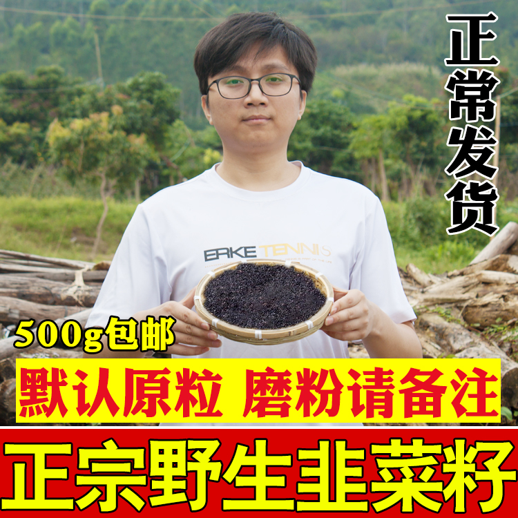 Wild leek seed 500g leek seed Chinese herbal medicine leek seed powder for men to make tea and eat leek seed