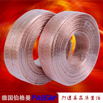 1 square speaker line Speaker line Gold and silver line Ceiling speaker special line Broadcast speaker special line