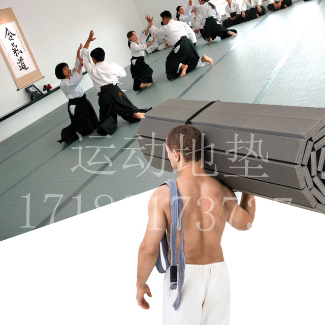 Wrestling mat judo mat sanda mat martial arts fighting mat dance taekwondo cheerleading gymnastics mat roll mat