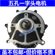 Electric tricycle motor head five holes out of 15mm single key 48v60v50065080010001200w
