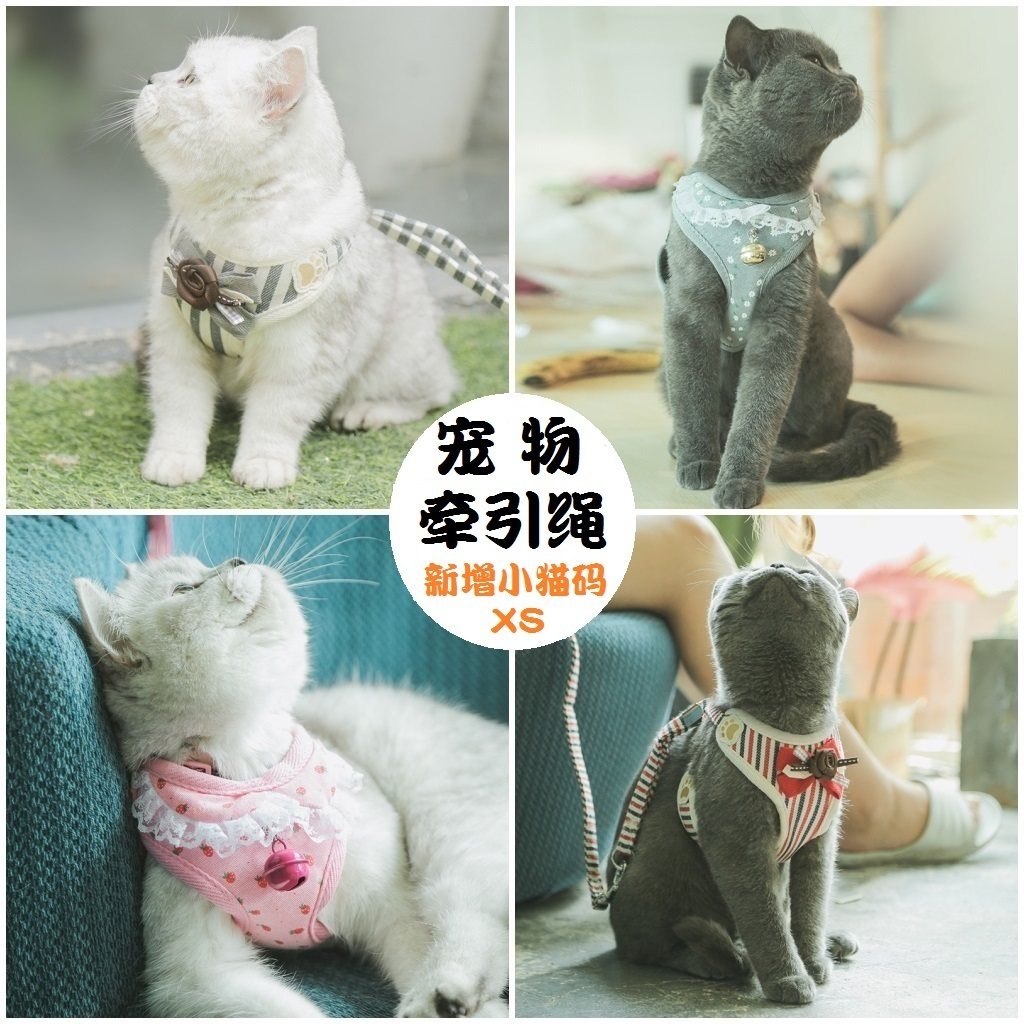 Striped bow tie pet chest holding baby bag dog traction rope spring and summer cat traction rope fat cat rope small and medium dog rope