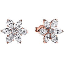 Celebrities same style] Pandora sparkling flower specimen earrings with rose gold temperament as a gift to your girlfriend